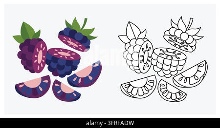 Fresh blackberry fruit portions with detailed black and white line art drawing Stock Vector