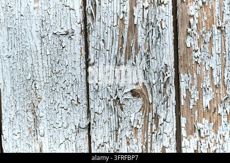 Close-up full frame view of an old, weathered wooden surface featuring heavily peeling light blue or greyish-white paint. The distressed wood grain is Stock Photo