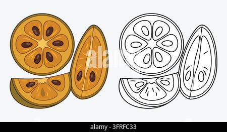 Yellow citrus fruit halves and segments in color and outline Stock Vector