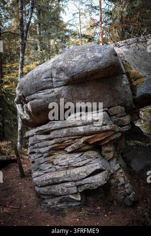 Massive layered boulder resembling a balancing stone formation stands among conifer trees in a quiet mountain forest with textured granite surfaces an Stock Photo