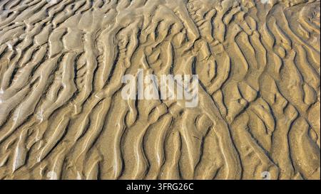 Golden sand ridges created by receding tide water on shoreline Stock Photo