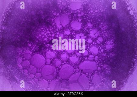 Close-up abstract macro photography of intricate purple soap bubbles and foam cell structures, showcasing detailed geometric patterns, soap film, and Stock Photo