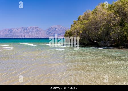 Shallow sea and sandy seabed on Greek coast, dense green trees overhanging water's edge, clear blue sky over distant coastal mountain peaks Stock Photo