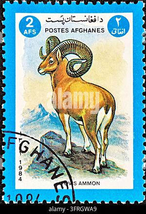 1984 Afghanistan Postage Stamp Depicting Argali Mountain Sheep Ovis Ammon, 2 Afghanis Face Value, Used Condition Cancelled Postmark Stock Photo