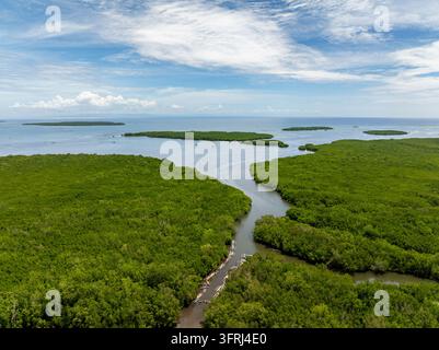 Aerial view of a winding river flowing through dense mangrove forest with scattered small islands in the tropical sea, Bohol, Philippines Stock Photo