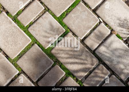Top view of weathered gray paving stones arranged diagonally, with green moss in the joints and soft leaf shadows across the textured surface. Stock Photo