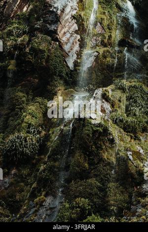 Waterfall cascading over moss-covered cliffs, Milford Sound, New Zealand Stock Photo