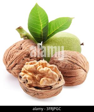 Whole walnuts and peeled walnut half with leaves with young green walnut isolated on white background, maximum sharpness of stacking photography metho Stock Photo
