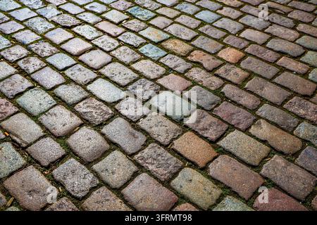 Cobblestone pavement with rough surface texture and green moss growing between stones, creating an old road surface Stock Photo