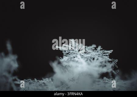 Close up macro photograph of a single delicate natural snowflake showing intricate ice crystal structures isolated on a dark, moody background. Perfec Stock Photo