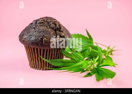 Chocolate Cannabis cupcake muffin and Hemp leaves isolated on pink background Stock Photo