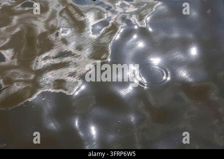 Water surface creating dynamic reflections and a single ripple expanding outwards Stock Photo