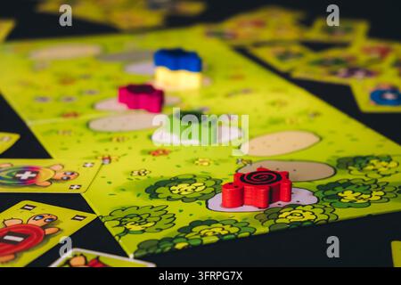 Belarus, Bereza - July 27, 2024. Board game - Turtle Races. Five players. Wooden colorful turtle chips on a playing field. Funny past time. Leisure Stock Photo