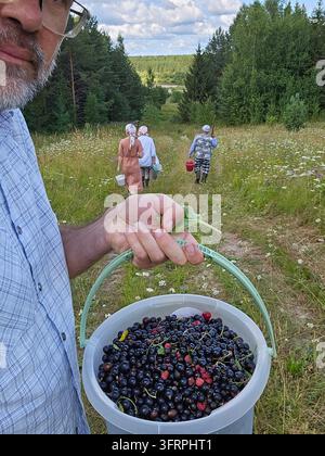 Man is holding a bucket of blackberries. There are three people in the background. One of them is wearing a white shirt in wood Stock Photo