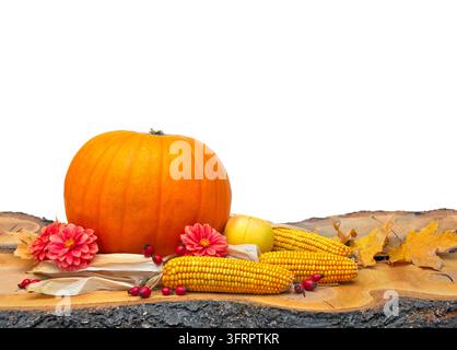 Bright autumn seasonal still life composition featuring a yellow pumpkin, ripe corn cobs, red berries, autumnal maple leaves, and vibrant dahlia flowe Stock Photo