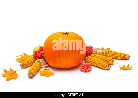 Beautiful autumn harvest arrangement featuring a yellow pumpkin, corn on the cobs, yellow apples and vibrant dahlia flowers isolated on a clean white Stock Photo
