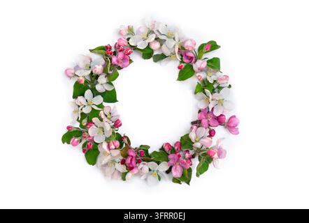 A beautiful wreath made of fresh pink and white apple blossoms arranged on a clean white background. Top view, flat lay composition with a central cir Stock Photo