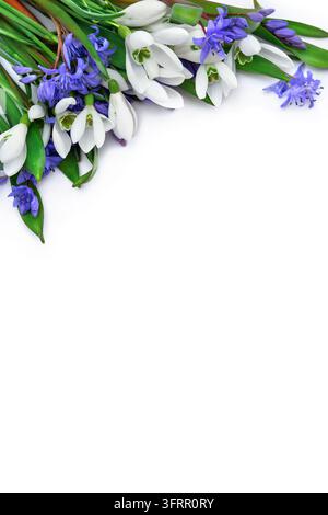 A delicate spring bouquet featuring fresh white snowdrops (Galanthus) and vibrant blue squill (Scilla) flowers isolated on a clean white background wi Stock Photo