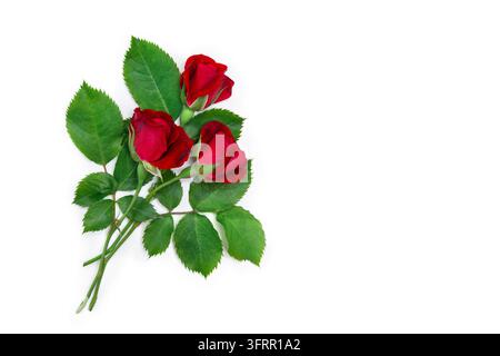 Small red rose buds on a clean white background. Minimalist flat lay composition with blank space for greetings, invitations, or branding. Top view, e Stock Photo