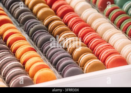 Assorted French macarons displaying various colors and flavors arranged neatly in a box, highlighting confectionery artistry Stock Photo