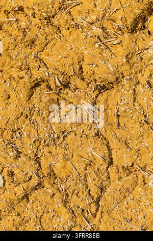 Rustic mud and straw clay wall texture showing earthen plaster, organic fibers and rough surface detail. Warm yellow ochre tones convey natural, handm Stock Photo