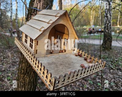 Birdhouse is hanging from a tree. The birdhouse is made of wood and has a small window. There are nuts scattered around the birdhouse near fence Stock Photo