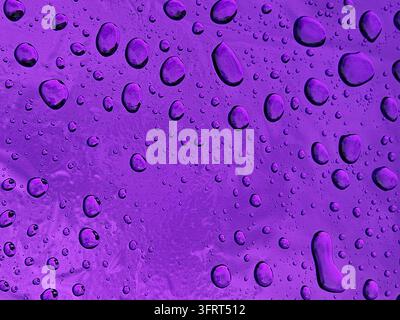 Purple background with many small drops of water. The drops are scattered all over the background Stock Photo