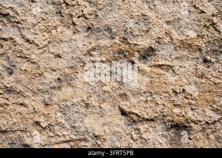 Rough Beige Concrete Wall Texture Background with Weathered Rustic Stone Surface Stock Photo