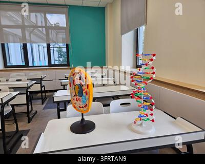MOSCOW - AUG 25, 2025: Classroom with a model of a cell and a model of a DNA strand on a table. Scene is educational and informative Stock Photo