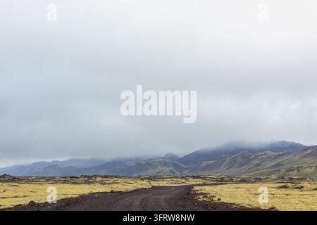 Dirt road running through green mossy lava fields towards misty mountains in Iceland under an overcast sky. Stock Photo
