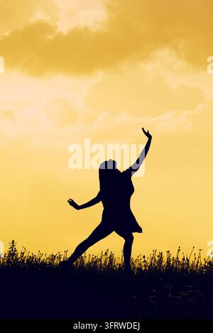 A female dancer holds a ballet pose in silhouette against a golden sunset sky, standing in a grassy meadow. Stock Photo