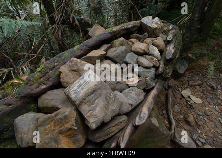 Rainforest path blocked by fallen tree and stacked rocks. Mossy logs and stones lie beside fern-covered ground. Natural debris forms barrier along for Stock Photo