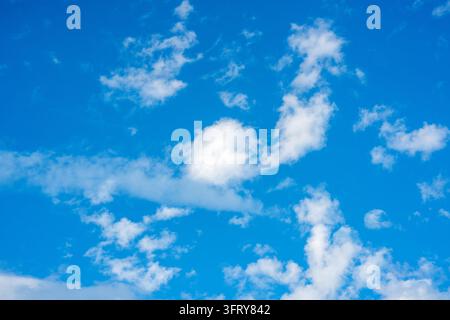 Bright blue sky filled with fluffy white cumulus clouds Stock Photo