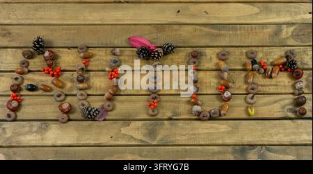 Word Autumn Design Made of Pinecones, Acorns and Nuts on Wooden Plank Background, Creative Seasonal Typography for Fall Banners and Branding Stock Photo