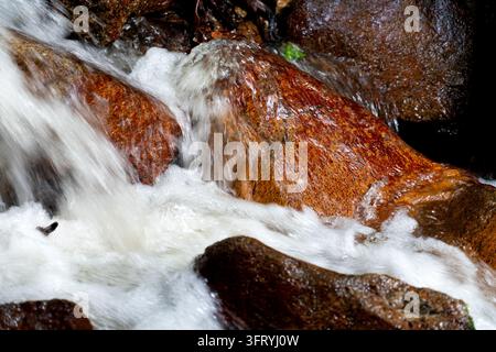 Crystal-clear river water rushing and cascading over smooth, wet reddish-brown boulders and mossy green stones in a tropical forest stream, captured w Stock Photo