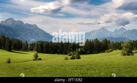 Open green meadows near Forggensee stretch toward forest and rugged Bavarian Alpine peaks beneath a dramatic cloud-filled sky. Stock Photo