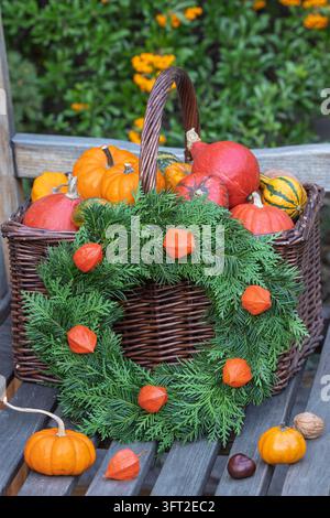 autumn arrangement with a wreath of arborvitae and yew twigs and physalis and pumpkins in a basket Stock Photo
