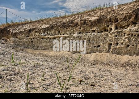 Exposed clay soil cliff profile showing deep geological layers and ...