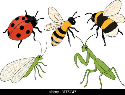 Hand-drawn vector set of beneficial garden insects including ladybug, honey bees, green lacewing and praying mantis. Isolated illustrations for garden Stock Vector