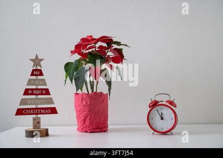 Red poinsettia in pink wrapping beside wooden Christmas tree decoration and red alarm clock on white table. Minimal festive arrangement with copy spac Stock Photo