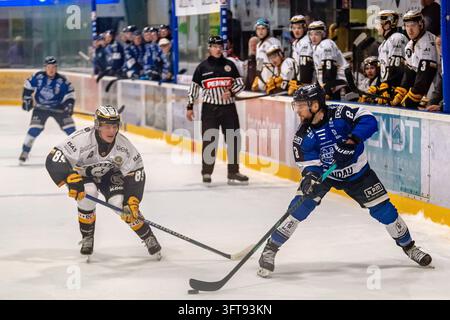 Timo Islander Timo Gams (F, EV Lindau Islanders, #8) GER, EV Lindau Islanders vs SC ...