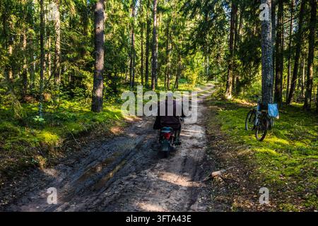 A bicycle ride in the forest on September 30, 2026. Vitebsk Region. Belarus. Stock Photo