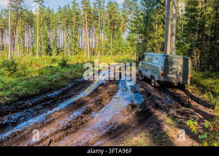 A bicycle ride in the forest on September 30, 2026. Vitebsk Region. Belarus. Stock Photo
