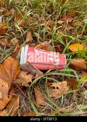 A discarded empty Tim Horton's cup lying on the ground among autumn leaves and grass. Quebec,Canada Stock Photo