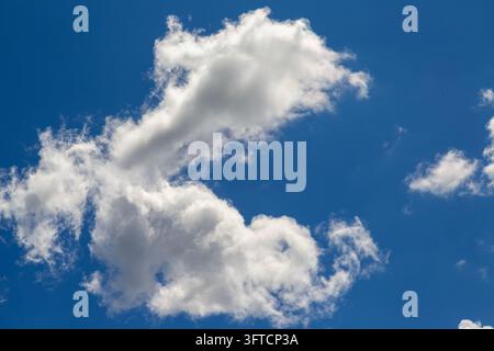 A single, isolated white fluffy cloud floating against a solid, deep blue sky. Stock Photo