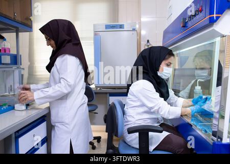 Hijab-wearing scientist in a protective mask handles samples at a laboratory cabinet Stock Photo