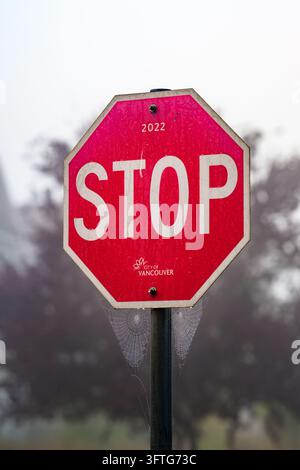 Spider webs on Stop sign Stock Photo