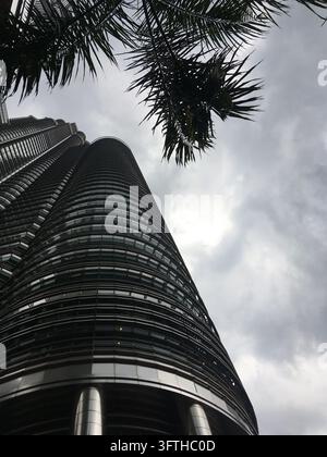 A low-angle view looks up along a tall, curved glass-and-steel skyscraper, its horizontal bands of windows narrowing toward the cloudy sky. Dark palm Stock Photo