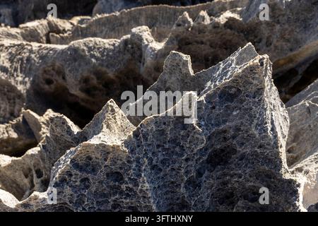 A close-up view reveals the sharp pitted texture of the grey limestone pinnacles at the Tsingy, Melaky, Grand Tsingy, Madagascar Stock Photo