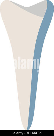 Flat illustration of a long narrow canine shaped tooth with a white body and pale blue shading along one side Stock Vector